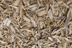 biomass boilers Garrygualach